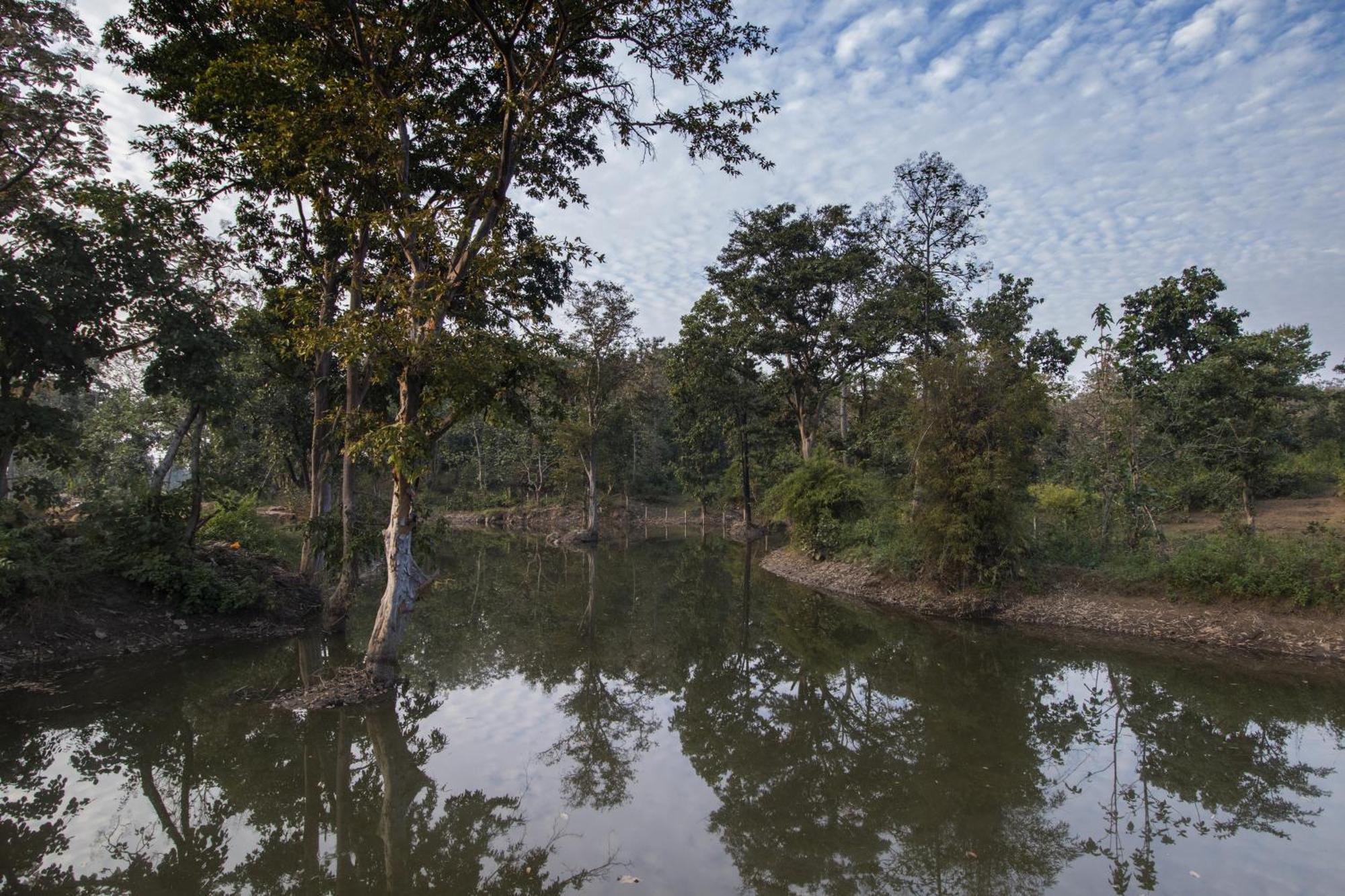 Wowstayz Pachmarhi Ecotel Pachmarhī Exterior foto